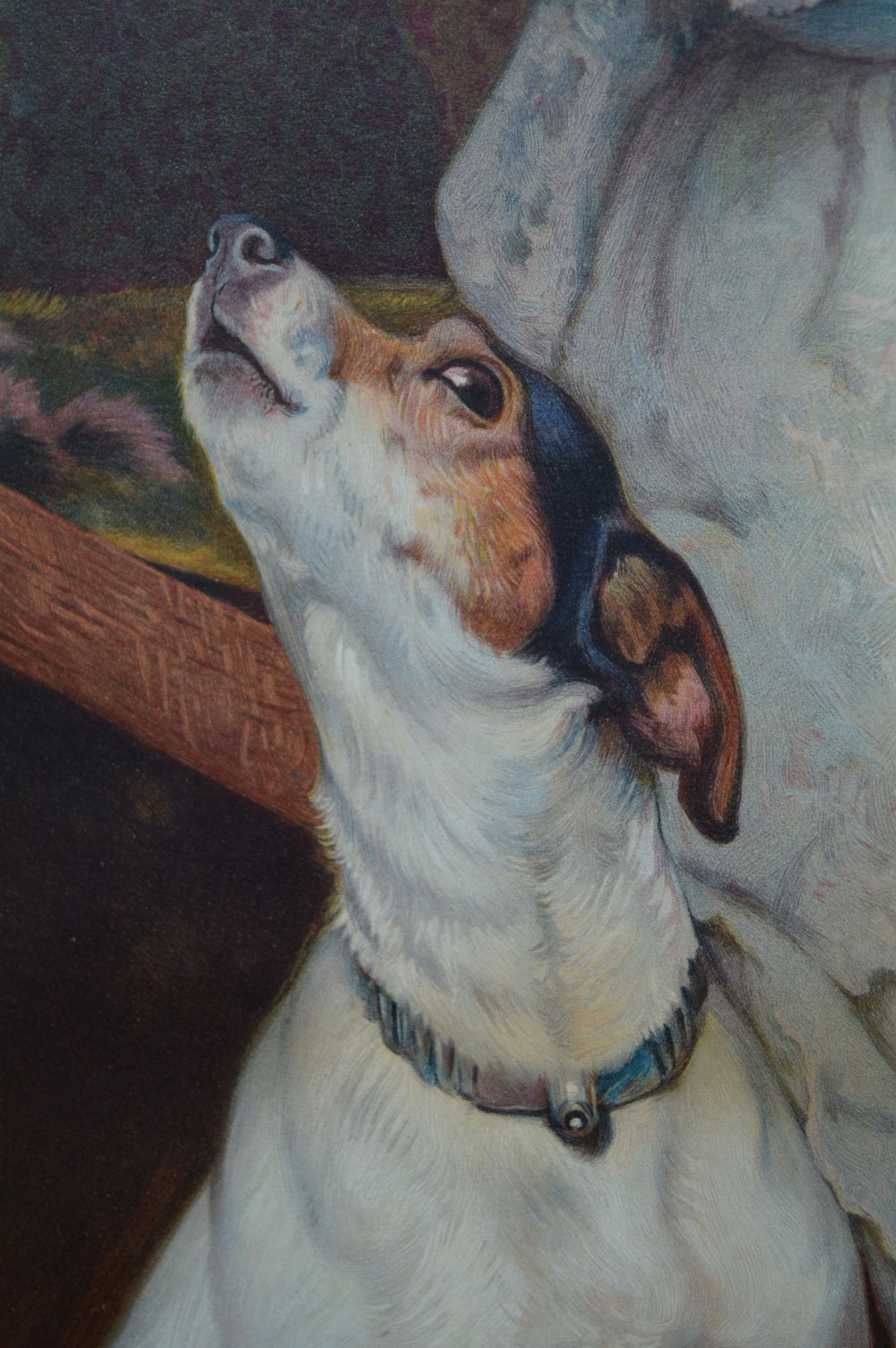 A framed Victorian chromolithograph after Charles Burton Barber depicting a young girl playing a violin to a terrier and kitten, set within a carved dark wood frame. View V