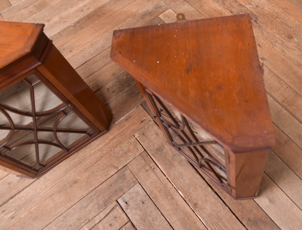 Pair of Miniature Mahogany Corner Cabinets View V