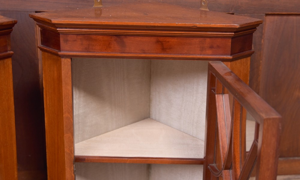 Pair of Miniature Mahogany Corner Cabinets View IX