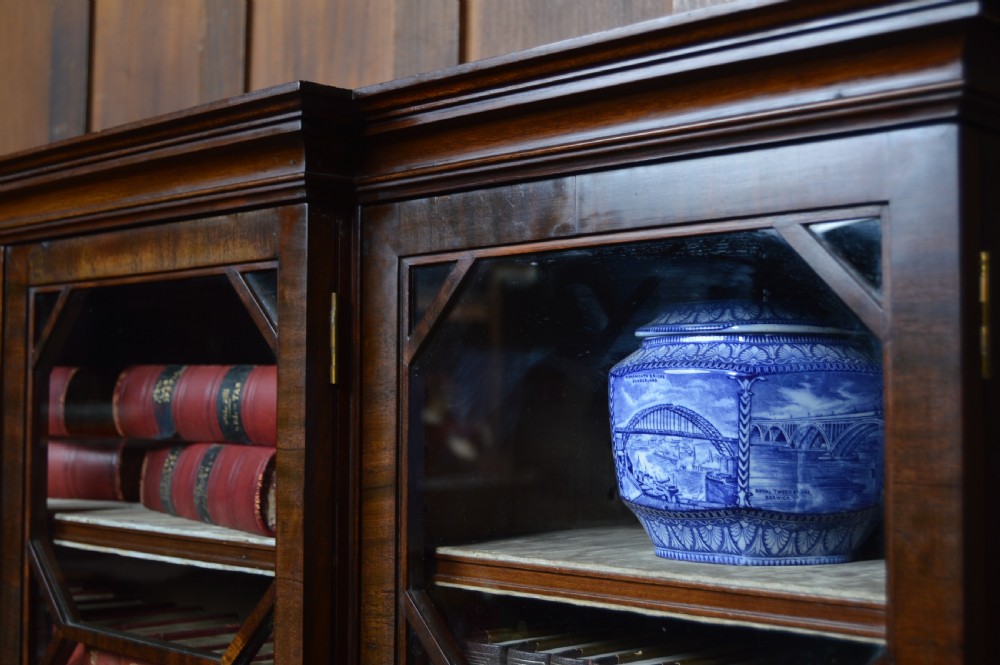19th Century Mahogany Bookcase View V