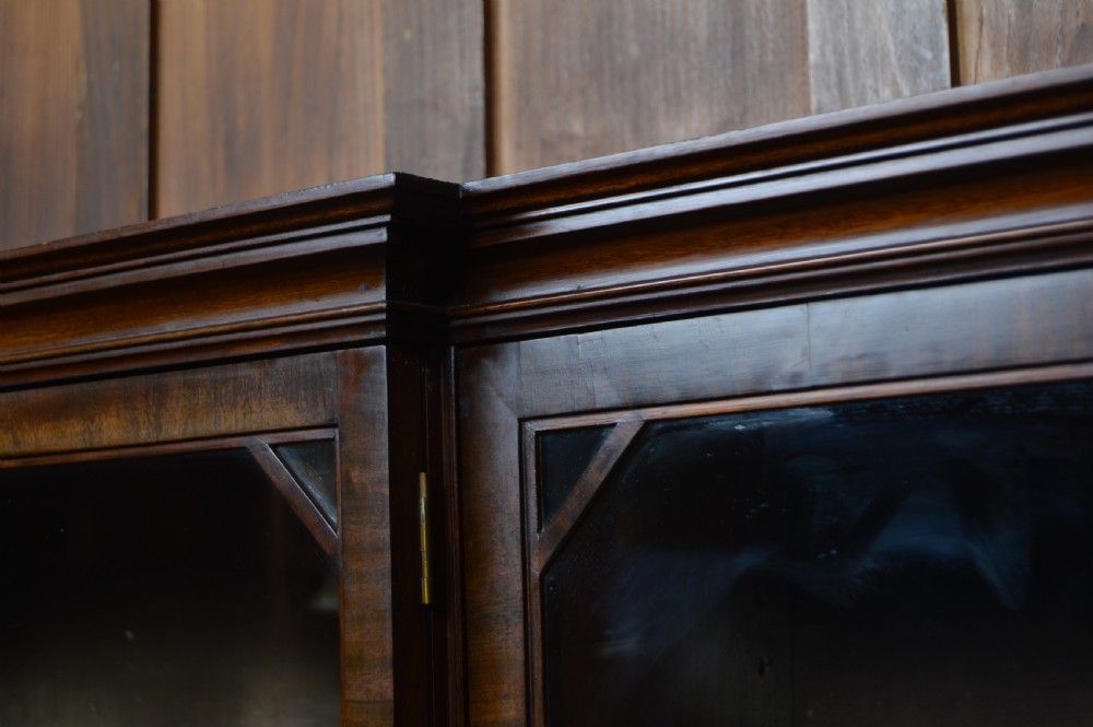 19th Century Mahogany Bookcase View VIII