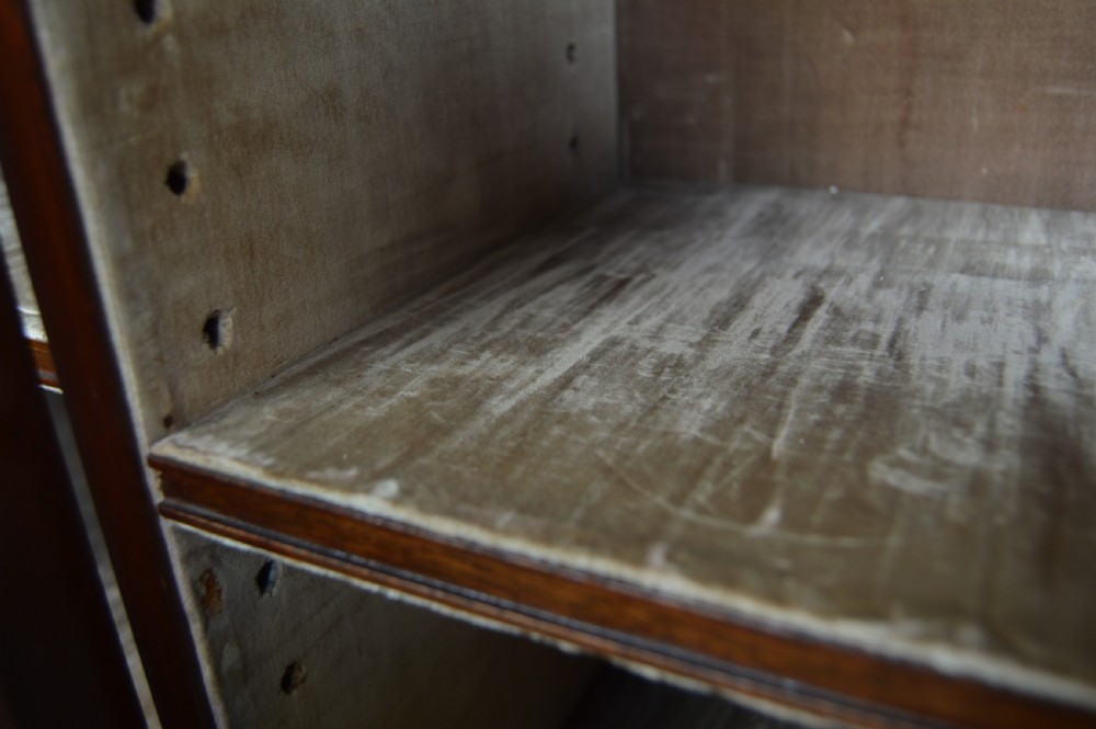 19th Century Mahogany Bookcase View XI