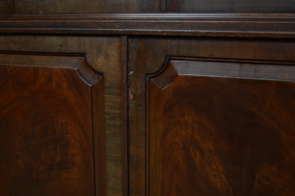 19th Century Mahogany Bookcase View XVI