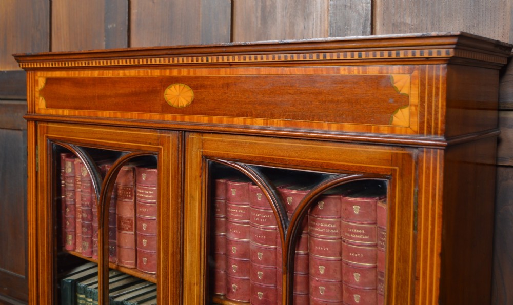 Edwardian Mahogany Bookcase View VI