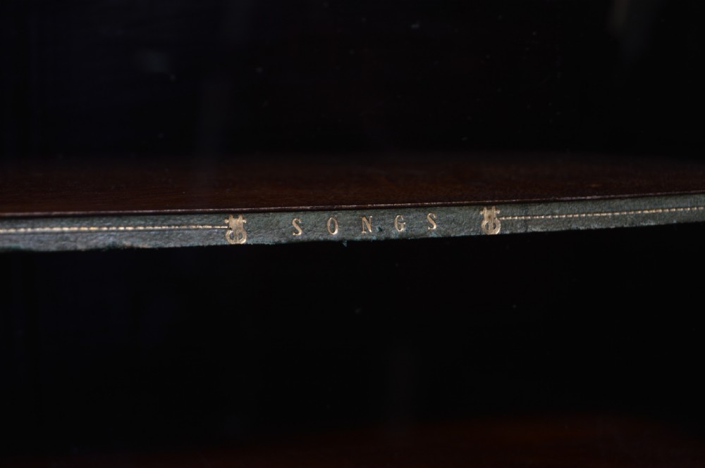 Victorian Walnut Music Cabinet View VII