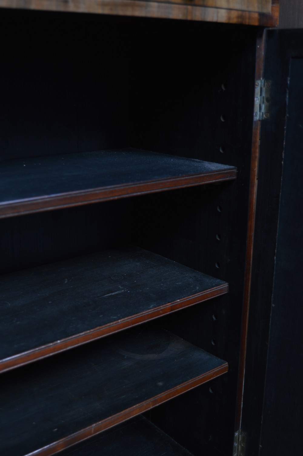 A Regency rosewood chiffonier cabinet featuring an upper shelf with a brass gallery and mirror, above a frieze drawer and double doors with brass wire lattice over pleated yellow fabric. View XI