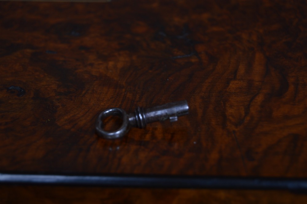 Edwardian Walnut Writing Slope View VIII
