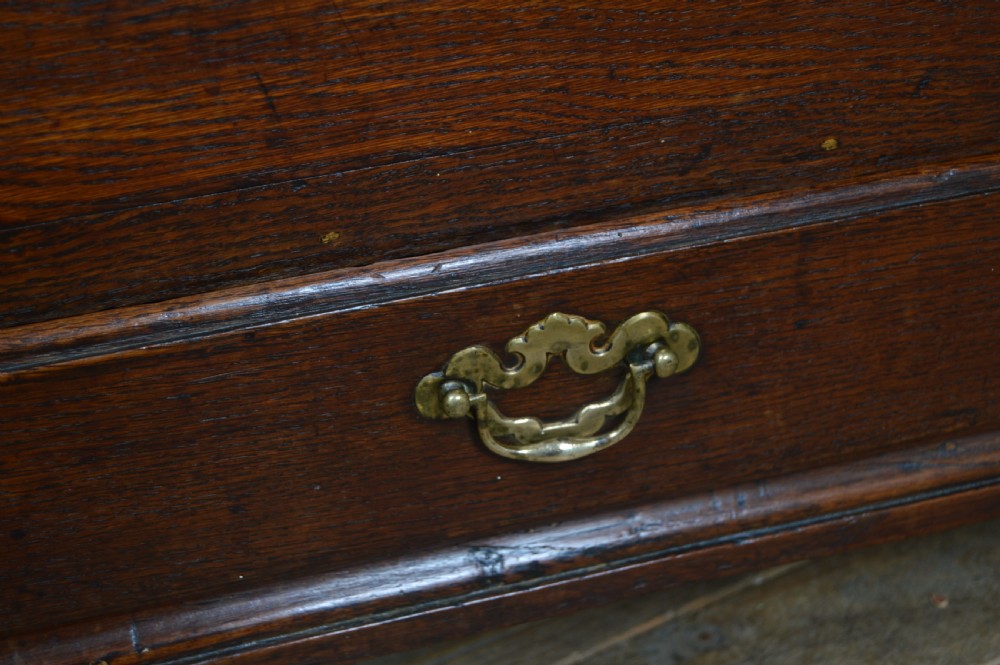 Georgian Oak Mule Chest View IV