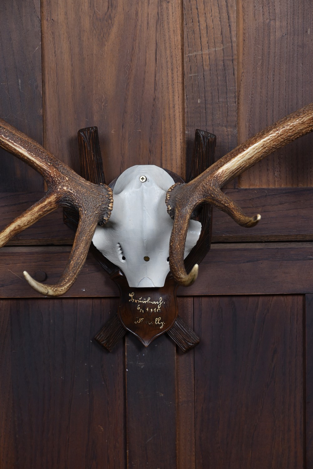 An eleven-point stag antler rack with a partial skull mounted on a carved dark wood shield plaque. View II