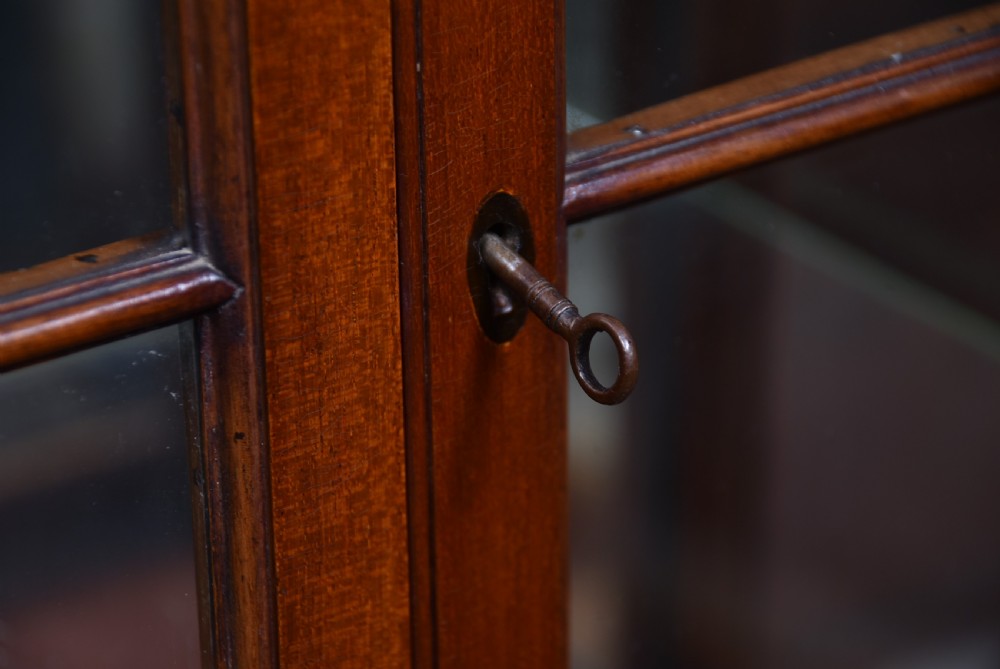 Edwardian Mahogany Display Cabinet View IV