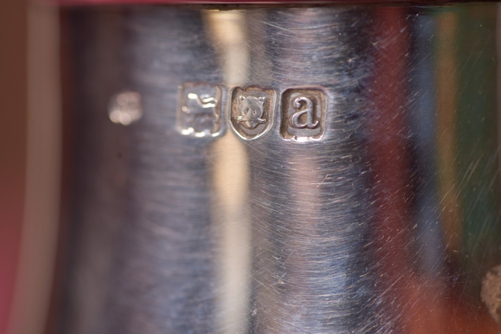 Silver Sugar Shaker View II