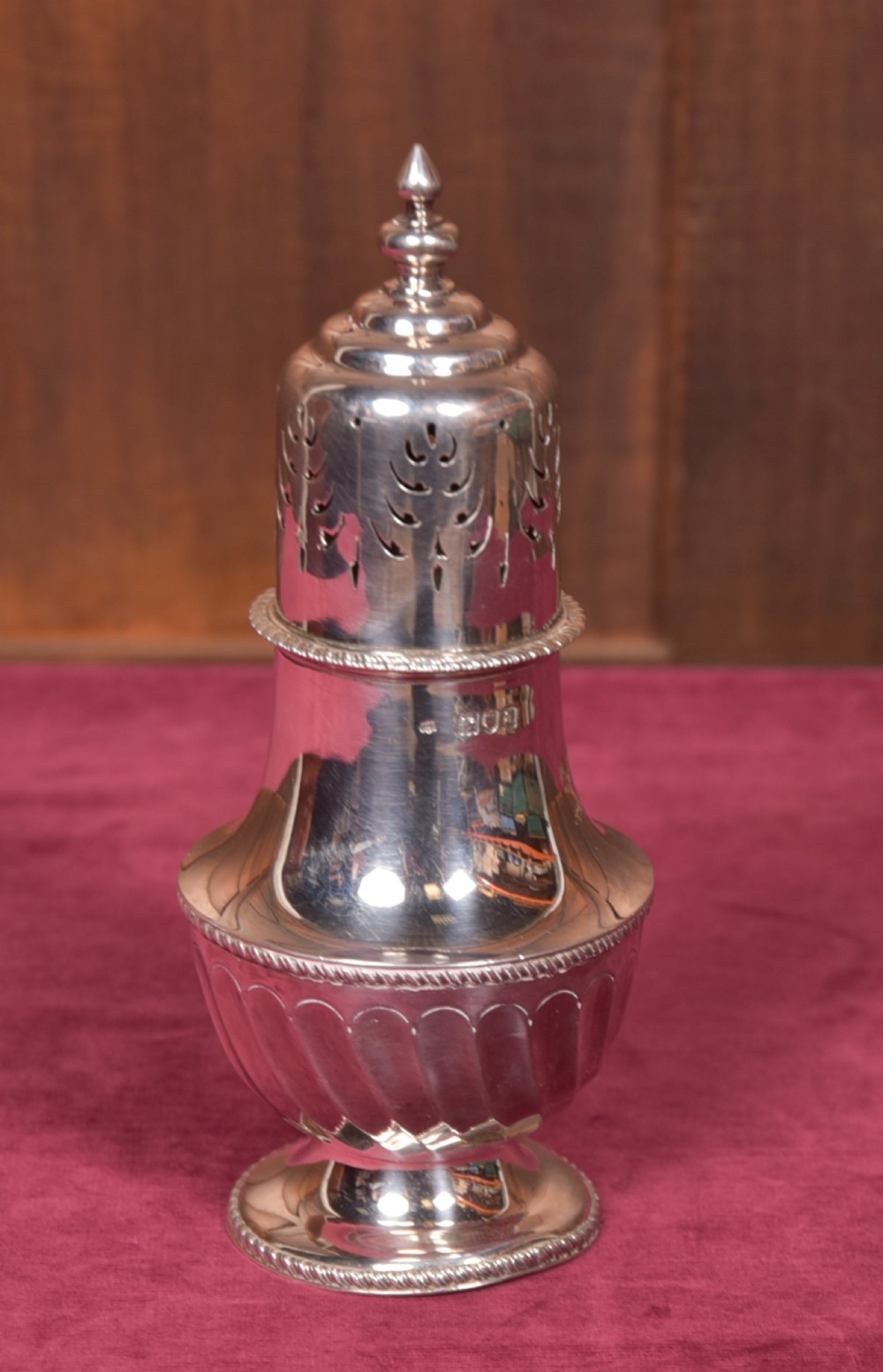 Silver Sugar Shaker View VII