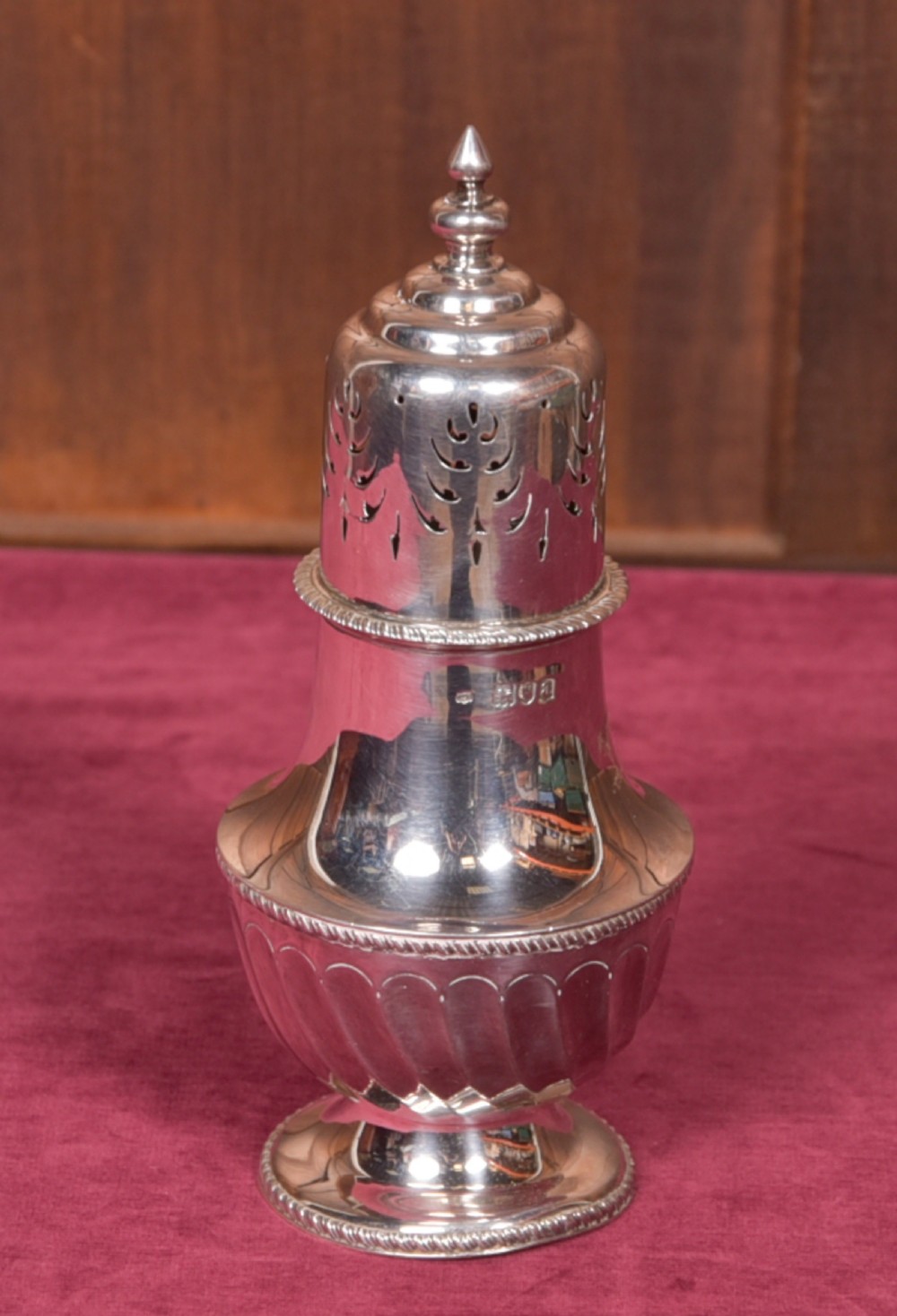 Silver Sugar Shaker View VIII