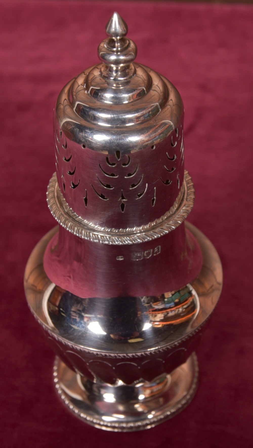 Silver Sugar Shaker View X