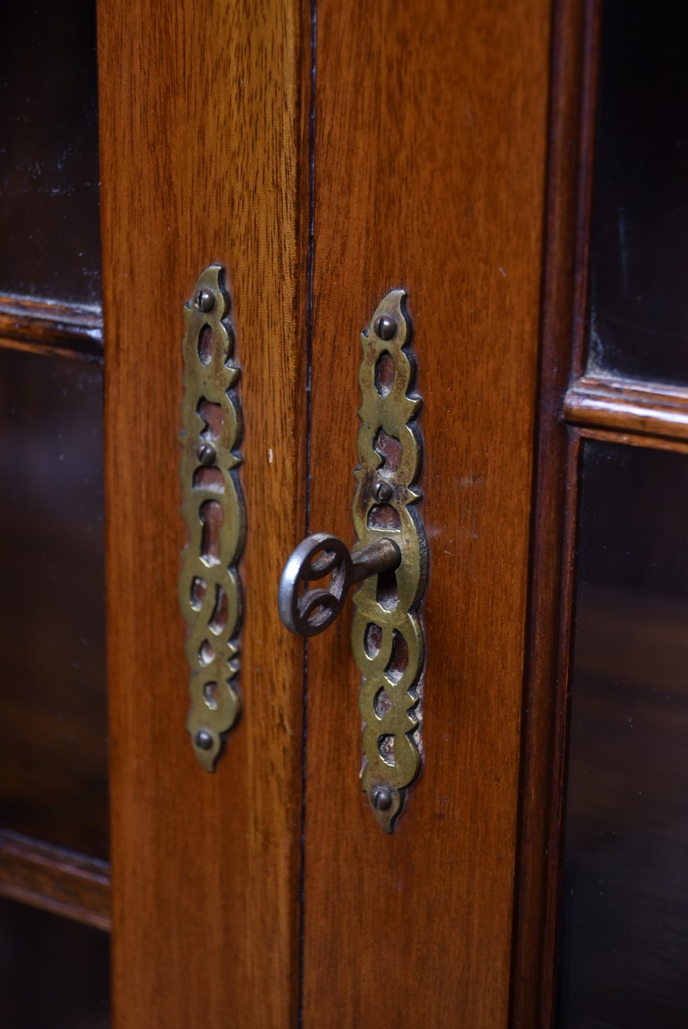 Todd Burns & Co Mahogany Bookcase View VI