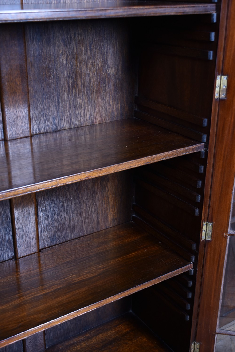 Todd Burns & Co Mahogany Bookcase View IX
