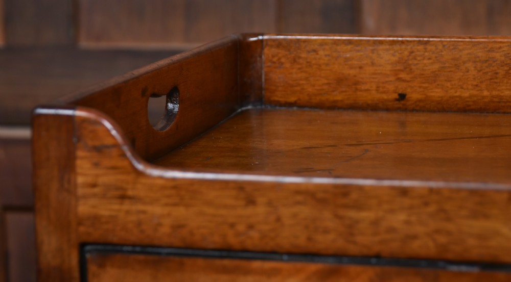 Georgian Mahogany Pot Cupboard View III