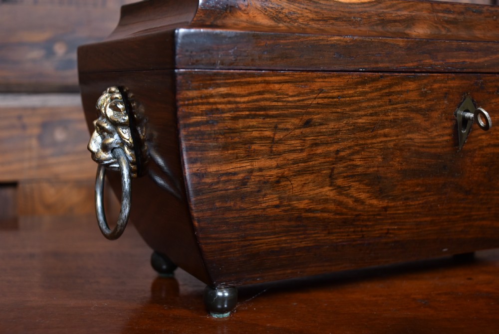 Rosewood  Tea Caddy View II