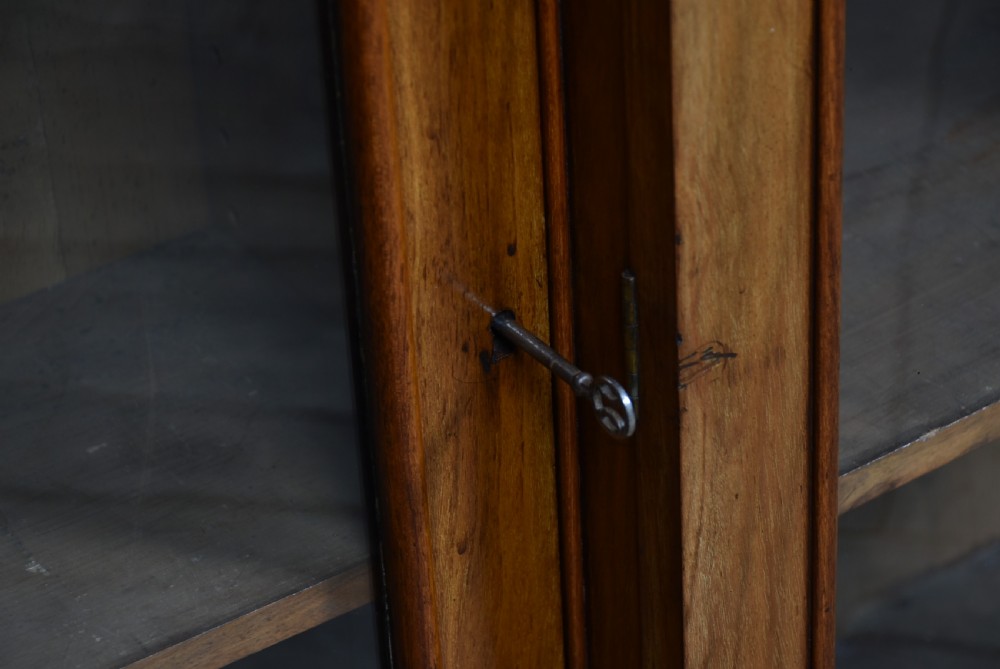 Victorian Walnut Bookcase View V