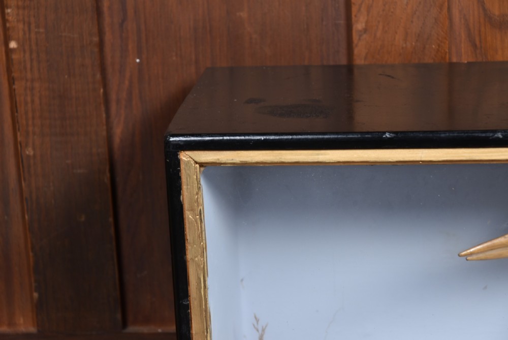 A rectangular black glass-fronted display case featuring full-mount taxidermy of a grey heron and a moorhen set against a painted background with marsh reeds. View X