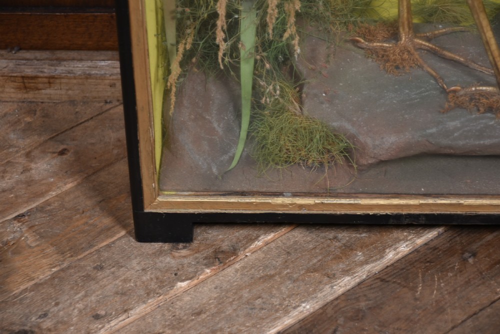 A rectangular black glass-fronted display case featuring full-mount taxidermy of a grey heron and a moorhen set against a painted background with marsh reeds. View XI