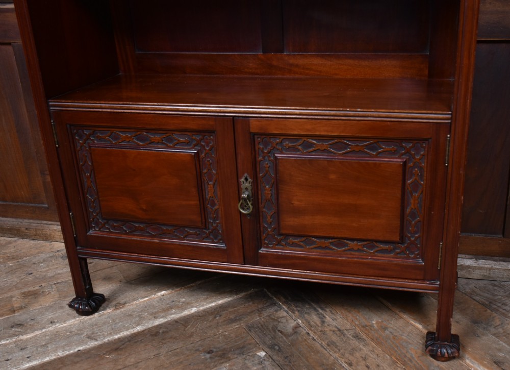 Edwardian Mahogany Bookcase View IV