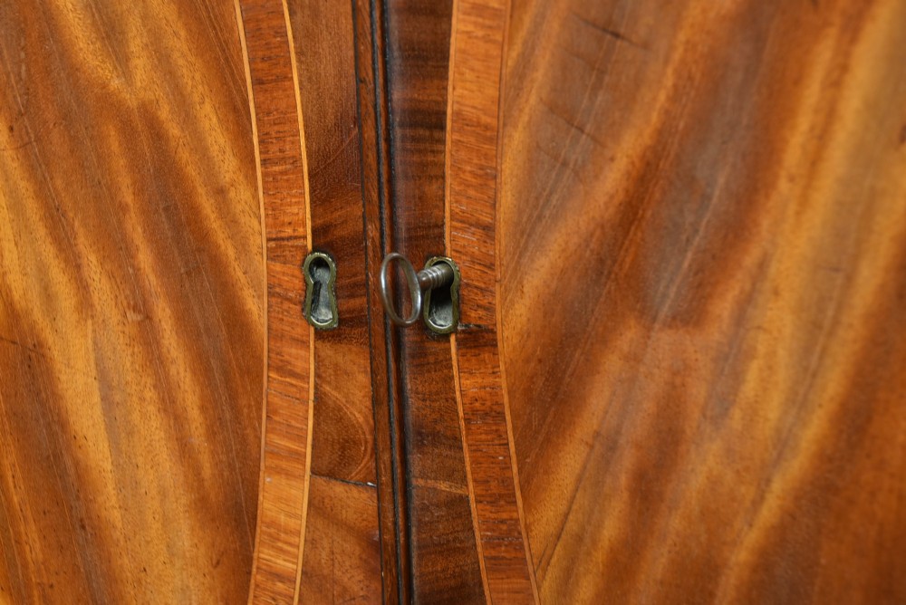 A tall Georgian mahogany secretaire bookcase featuring an upper two-door cabinet with oval inlay panels above a lower chest with four drawers and brass swan-neck handles. View VII