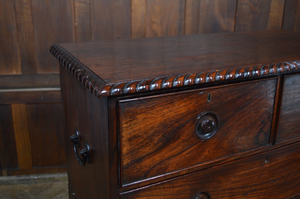 Anglo-Indian Padouk Campaign Chest View III