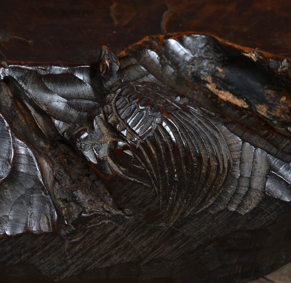 A dark brown carved hardwood display stand featuring a hand-carved turtle motif along the organic natural edge. View IV