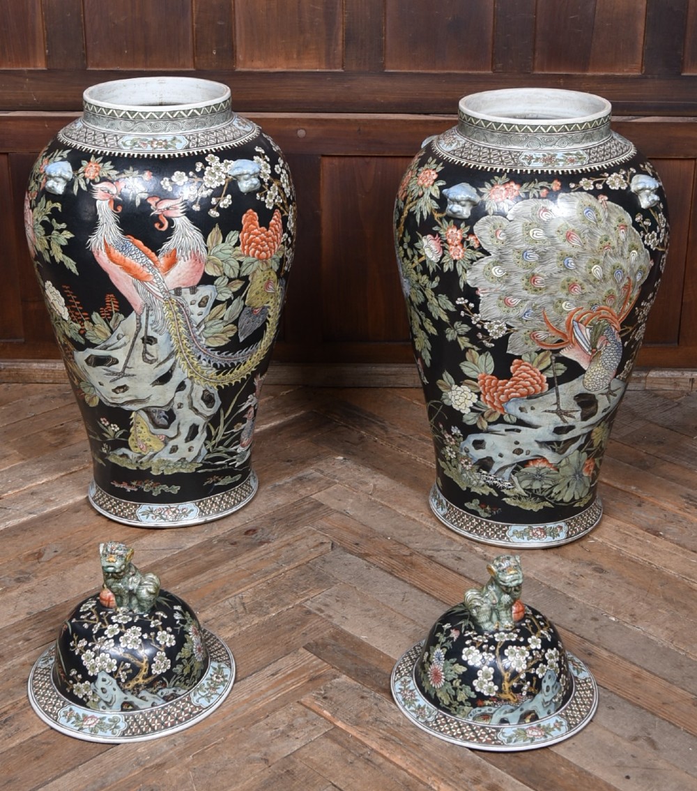 A pair of large black-ground Chinese porcelain floor jars with domed lids topped with foo dog finials and painted peacock, floral, and rockery motifs. View XIII
