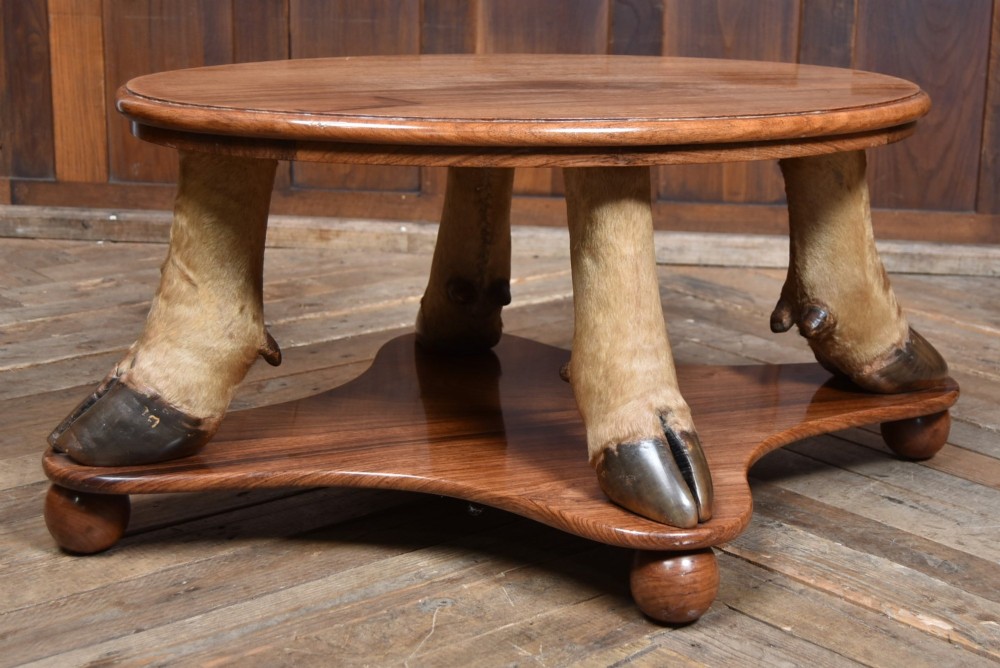 An oval polished wooden coffee table supported by four taxidermy hooves standing on a shaped wooden base with ball feet. View III