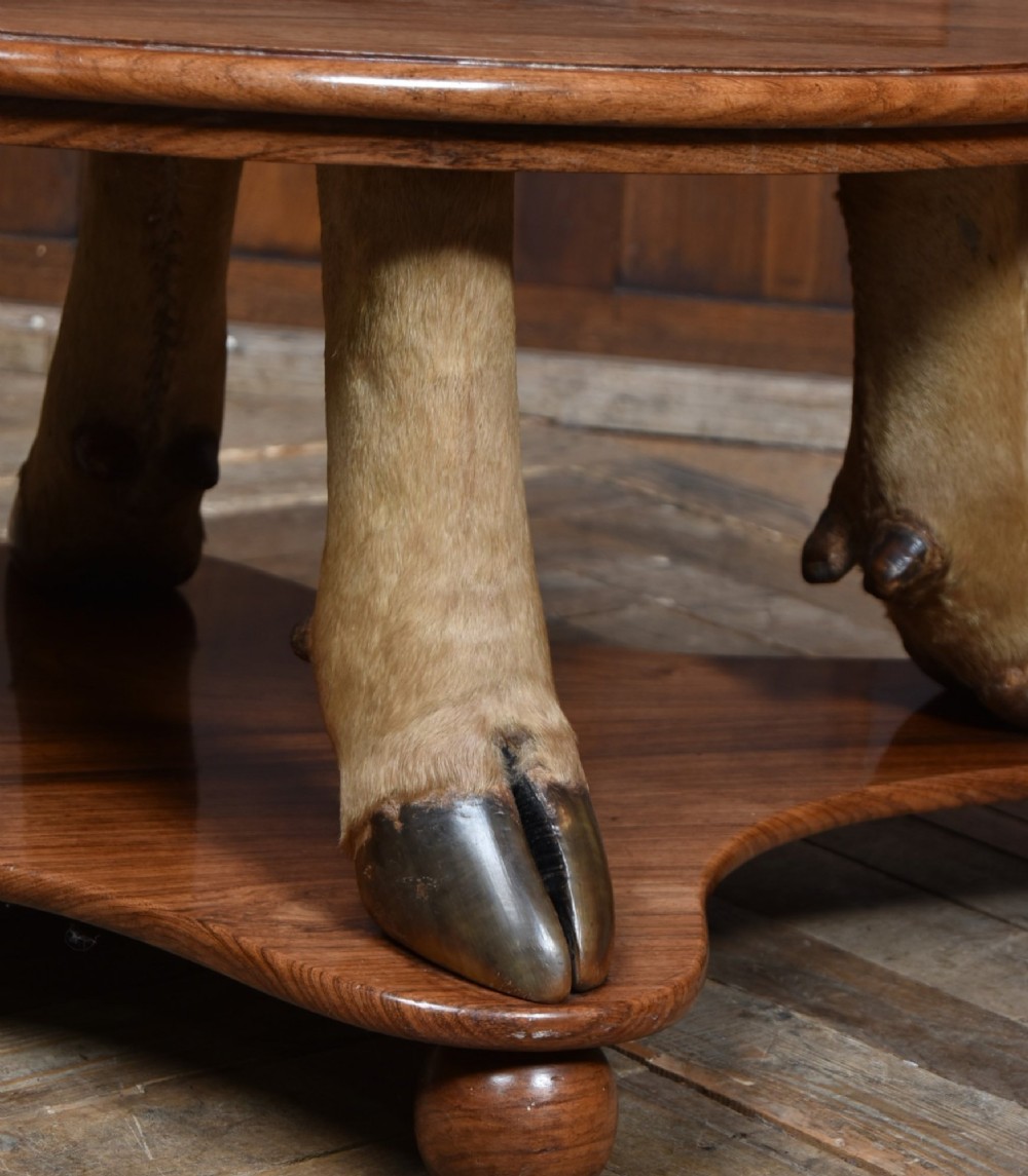 An oval polished wooden coffee table supported by four taxidermy hooves standing on a shaped wooden base with ball feet. View IV