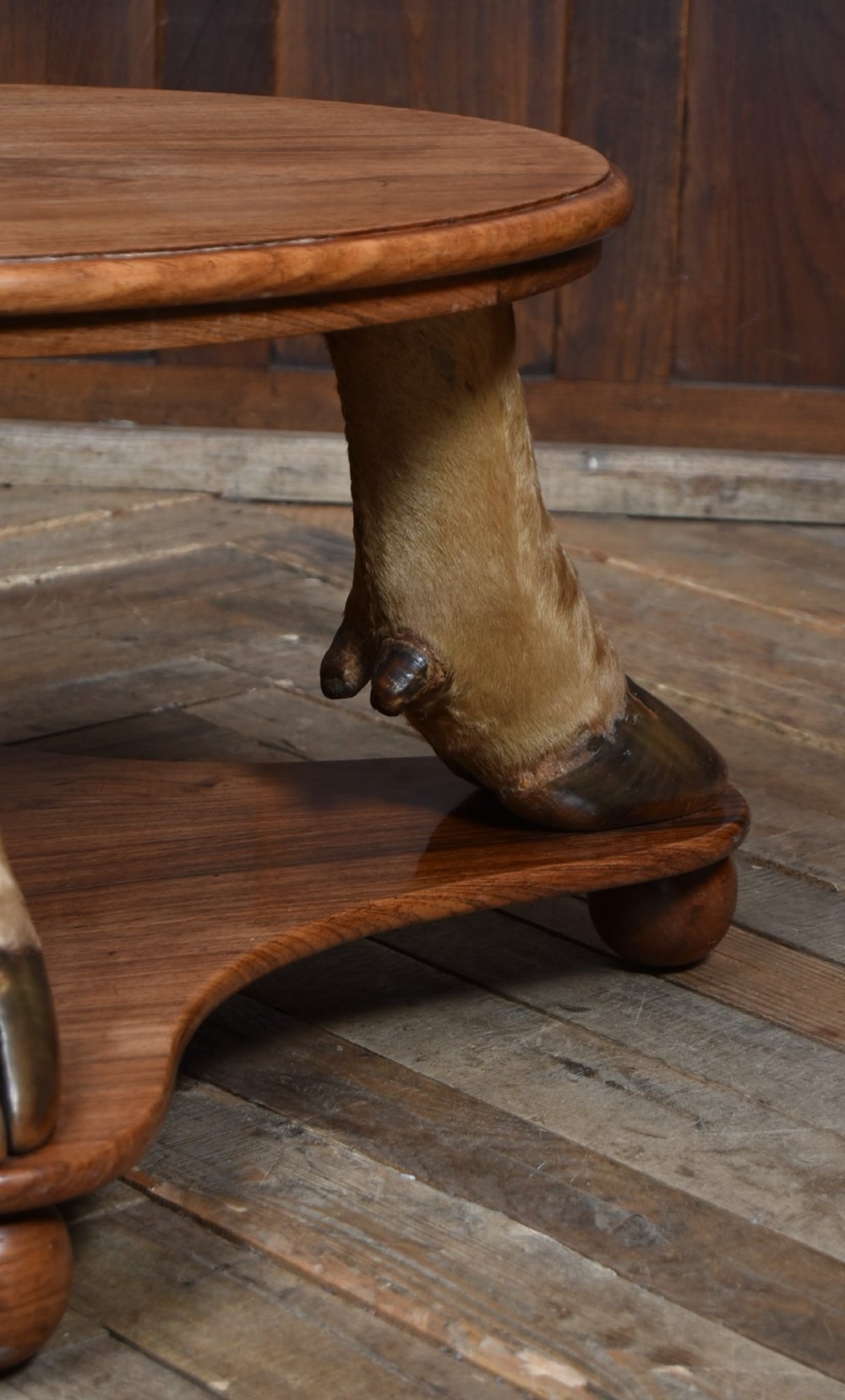 An oval polished wooden coffee table supported by four taxidermy hooves standing on a shaped wooden base with ball feet. View V