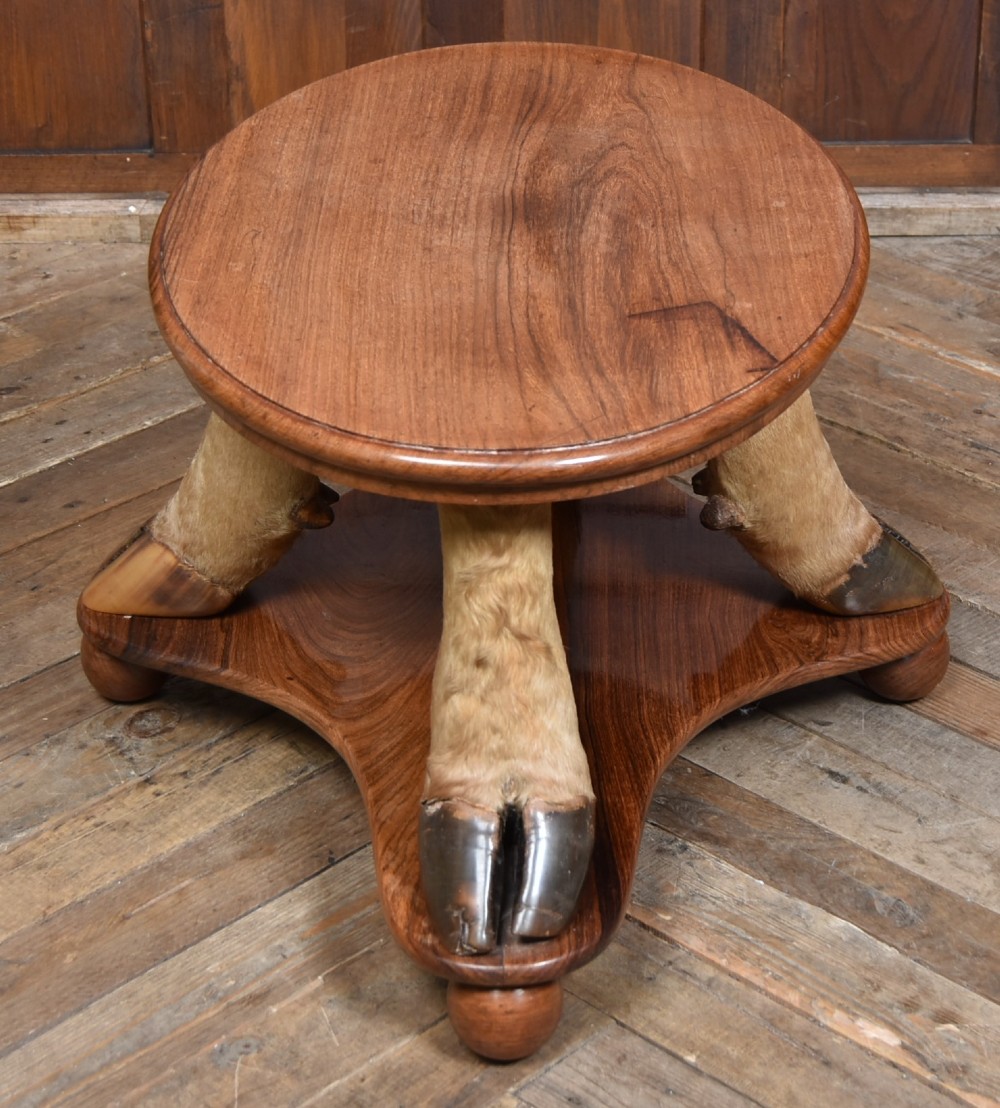 An oval polished wooden coffee table supported by four taxidermy hooves standing on a shaped wooden base with ball feet. View VIII