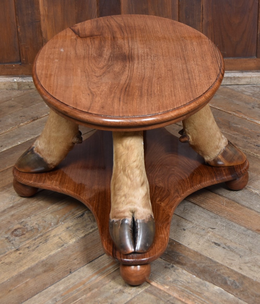 An oval polished wooden coffee table supported by four taxidermy hooves standing on a shaped wooden base with ball feet. View X