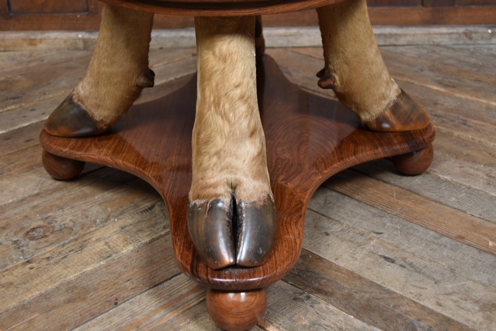 An oval polished wooden coffee table supported by four taxidermy hooves standing on a shaped wooden base with ball feet. View XII