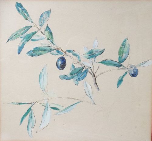 Olive Branch, Circa 1910-20, Watercolour by Pointillist South of France Artist Edouard Fer