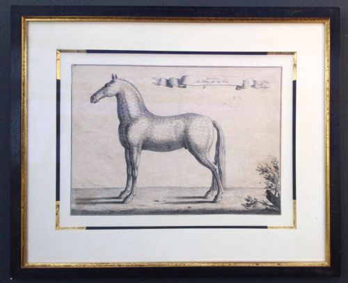 fig 1. Antique original equestrian engraving, 1733, Baron Reis d'Eisenberg Horse Motto: The Bridle is my Virtue