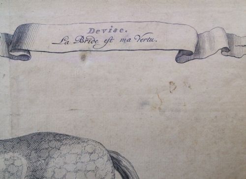 fig 2. Antique original equestrian engraving, 1733, Baron Reis d'Eisenberg Horse Motto: The Bridle is my Virtue