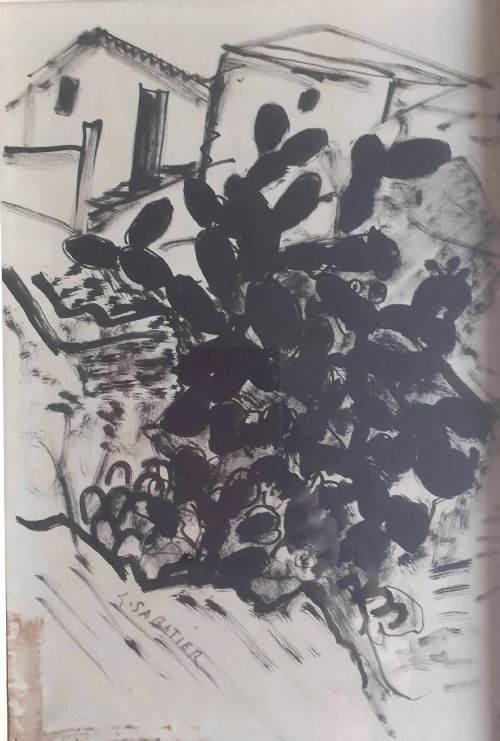 Cacti in Provence, the South of France, Striking Exhibited French Expressionist Ink Drawing