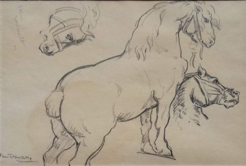 Equestrian Study, Horse Drawing After Gericault Graphite on Paper
