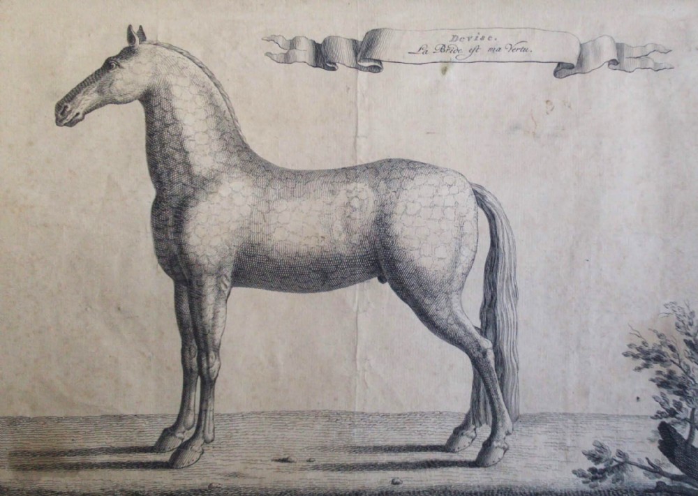 Antique original equestrian engraving, 1733, Baron Reis d'Eisenberg Horse Motto: The Bridle is my Virtue