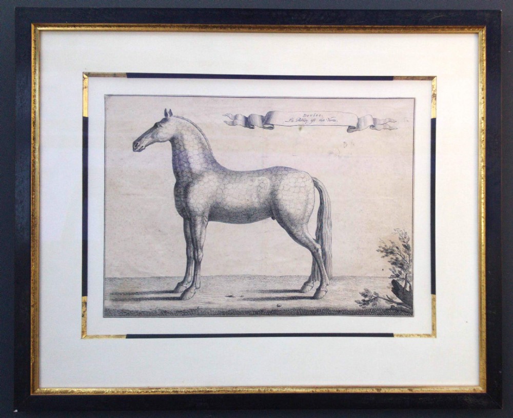 Antique original equestrian engraving, 1733, Baron Reis d'Eisenberg Horse Motto: The Bridle is my Virtue View II