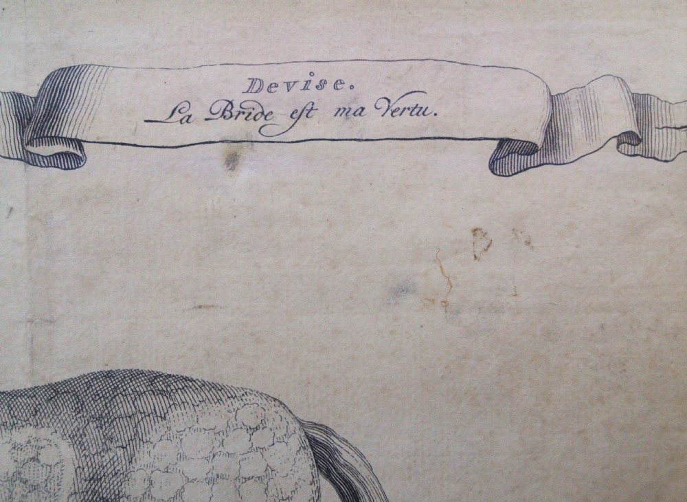 Antique original equestrian engraving, 1733, Baron Reis d'Eisenberg Horse Motto: The Bridle is my Virtue View III
