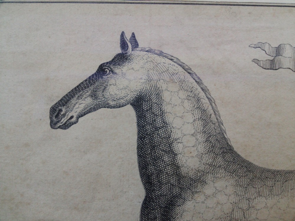Antique original equestrian engraving, 1733, Baron Reis d'Eisenberg Horse Motto: The Bridle is my Virtue View IV