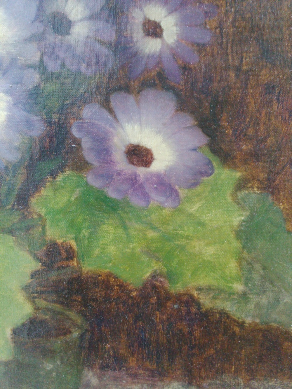Humble flowers, the pot of daisies, blue Cineraria by Hungarian British Kelman Kameny ca 1940 oil on canvas View V