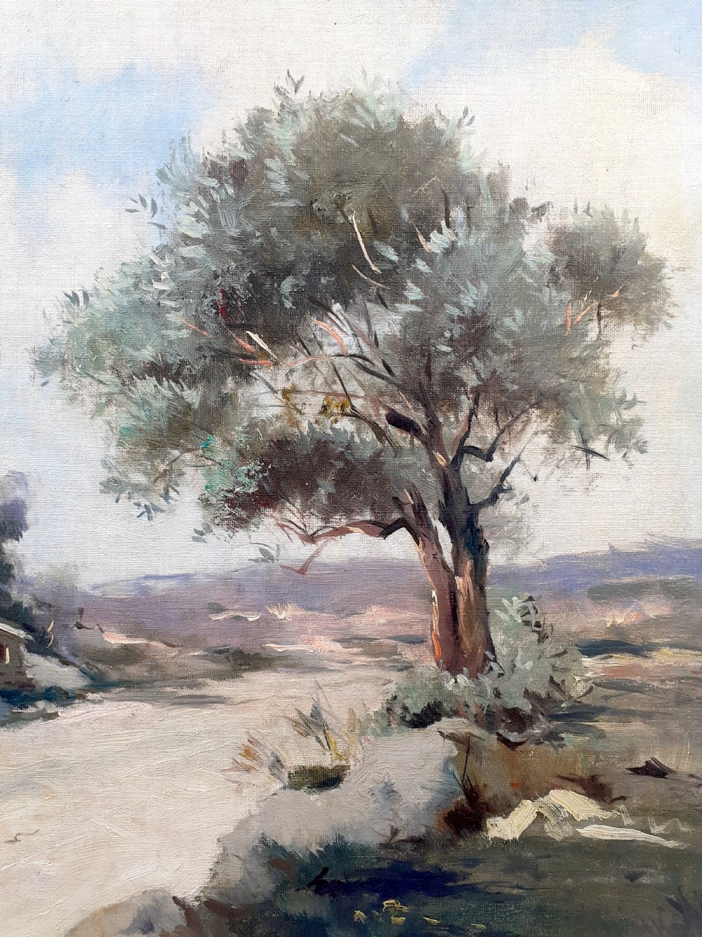 Olive tree, hillside farm, Provence, the French Riviera hinterlands near Nice, the South of France oil on canvas View V