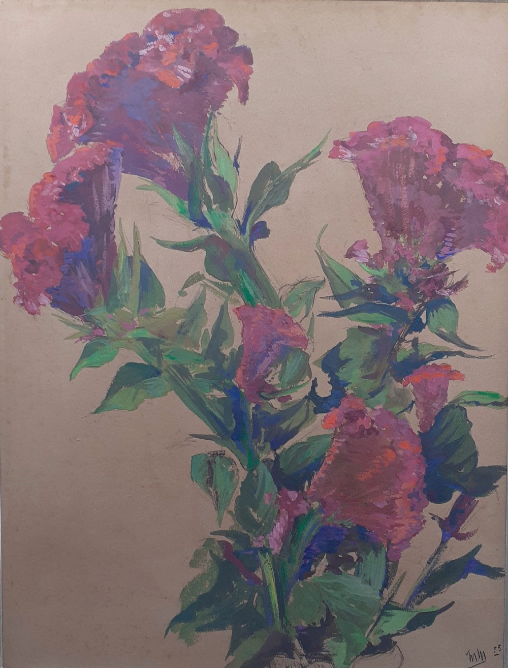 A botanical study on toned beige paper depicting magenta cockscomb flowers with green stems and leaves.