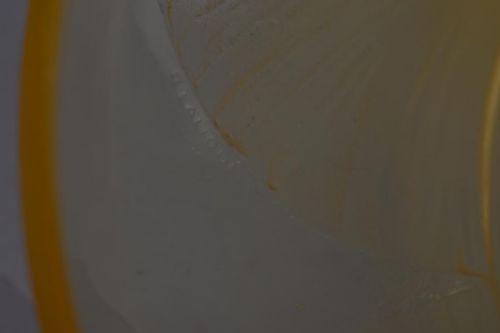 RENE LALIQUE AMBER VOLUBILIS BOWL - ADDITIONAL PHOTO 3