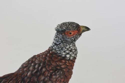 COLD PAINTED AUSTRIAN BRONZE FIGURE OF A PHEASANT - ADDITIONAL PHOTO 5